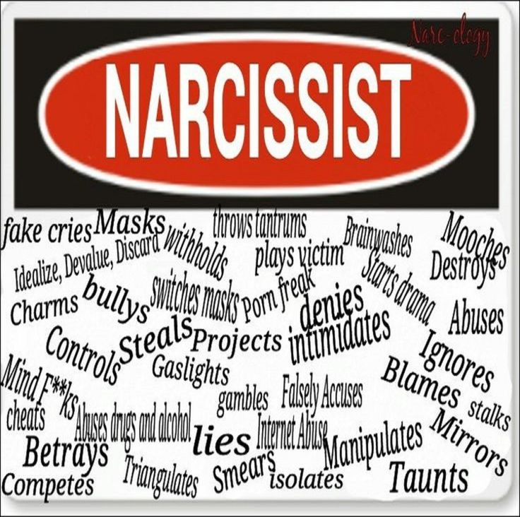 Traits Narcissist Pie Dating Of Pie As As A Traits Narcissist Pie Dating Of Pie As As A
