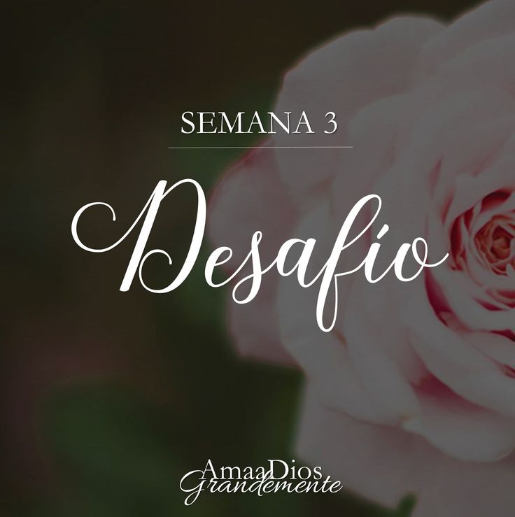 preguntas biblicas de mujeres de la biblia mejores 27 im 225 genes de preguntas biblicas mujeres de la preguntas biblicas de mujeres de la biblia mejores 27 im 225 genes de preguntas biblicas mujeres de la