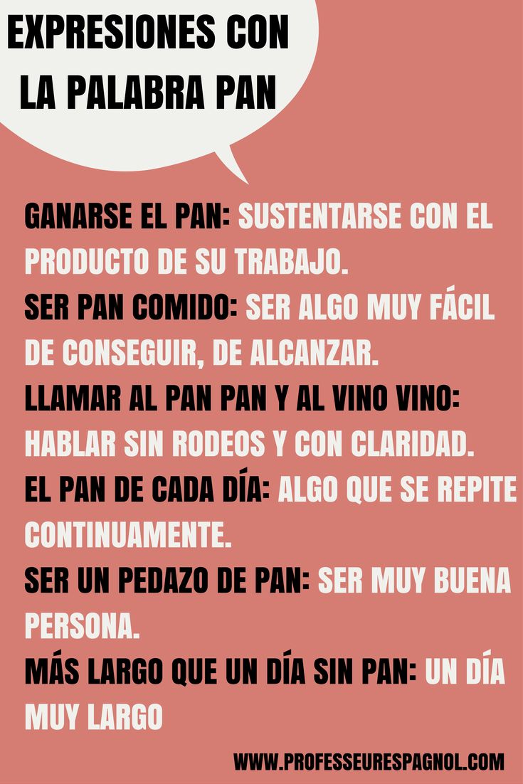 expresiones con animales spanish lesson