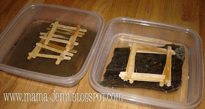 Bible Verses Building One S House On The Sand Bible Verses Building One S House On The Sand