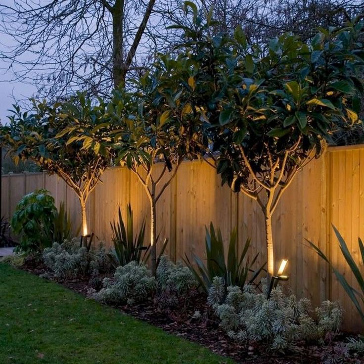 50+ Prone Cheap Backyard Privacy Fence Design Ideas