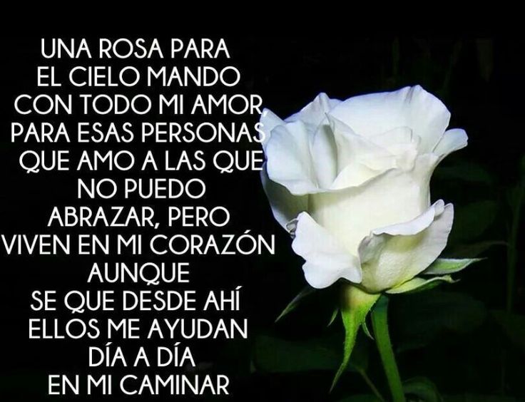 Imágenes de luto con frases para una madre | en 2020 | Frases para