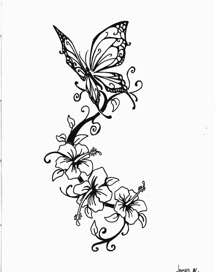 523 best Butterflies to Color images on Pinterest Coloring books - copy coloring pages flowers and butterflies 523 best Butterflies to Color images on Pinterest Coloring books - copy coloring pages flowers and butterflies