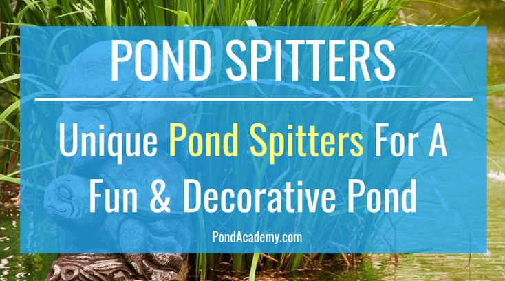Pond Spitters Are A Great Way To Add Style And Character To A Pond pond-spitters-are-a-great-way-to-add-style-and-character-to-a-pond