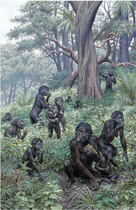 the last human a guide to twenty two species of extinct humans ebook 280 best prehistoric africa images on pinterest the last human a guide to twenty two species of extinct humans ebook 280 best prehistoric africa images on pinterest