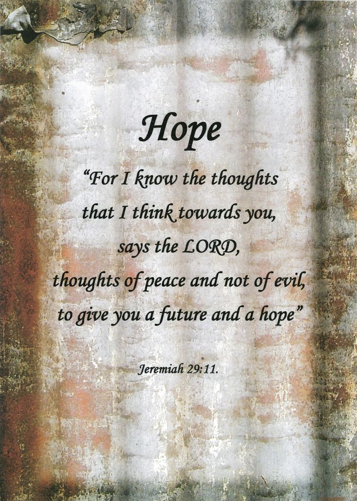 verse by verse bible study verse by verse bible study