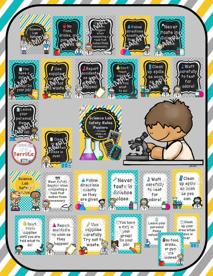 science poster for kids