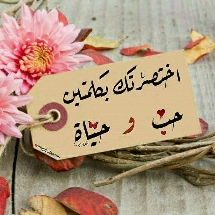 Pin By Bo Bo On محمد حبيبي In 2020 Place Card Holders Place Cards Card Holder