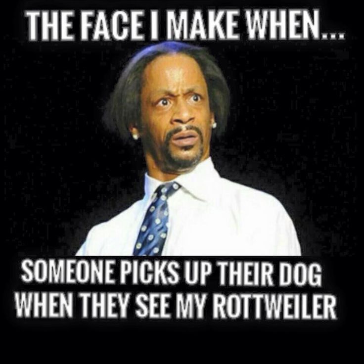 Rottweiler single owner