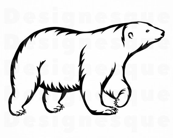 Download Baby Bear Svg Cricut And Silhouette Polar Bears Svg Png Pdf Eps Vector Cut Files Mama Bear Svg Polar Bear Cut File Polar Bear Clipart Templates Tools