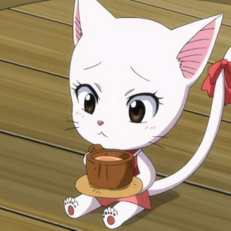 Charle Fairy Tail Fairy Tail Cute Anime Cat Fairy Tail Cat
