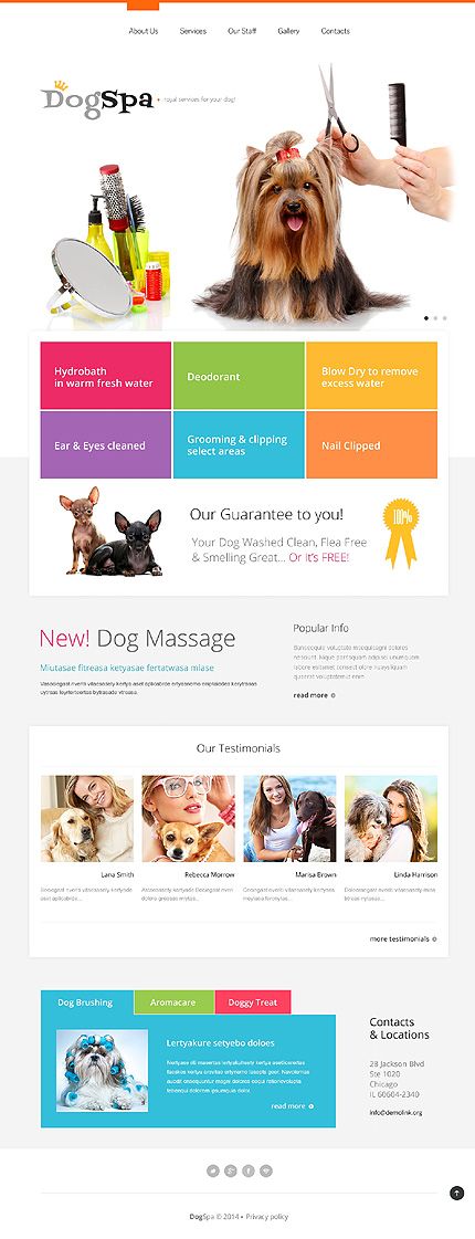 196 best Website templates screenshots images on Pinterest - diabetes brochure template 196 best Website templates screenshots images on Pinterest - diabetes brochure template