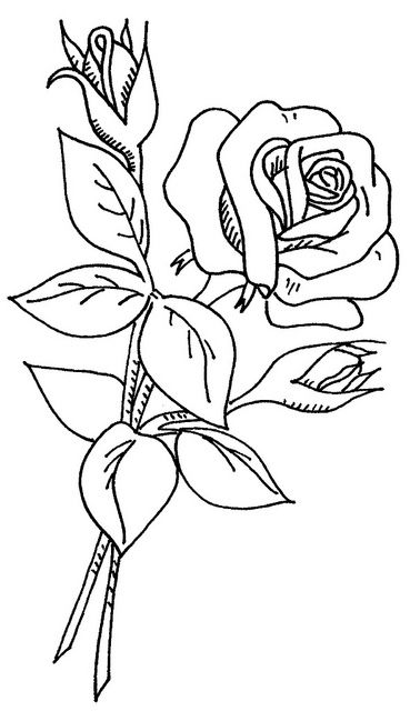 Download 13 best flowers images on Pinterest | Flower drawings ...