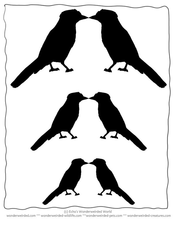 It is an image of Inventive Free Printable Bird Silhouettes It's just an image of Inventive Free Printable Bird Silhouettes