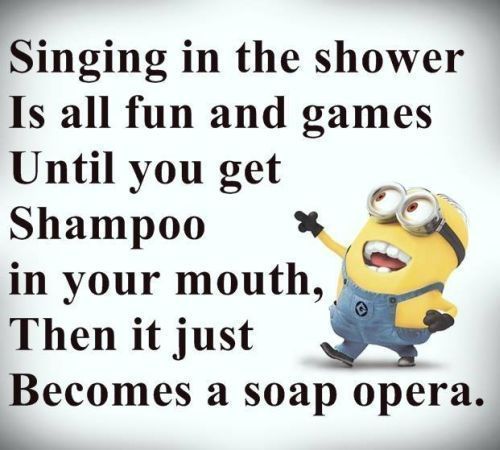 Funny Daily Quotes Fair Best 25 Funny Quotes With Pictures Ideas On Pinterest Minions Funny Daily Quotes Pleasing Best 25 Funny Quotes With Pictures Ideas On Pinterest Minions