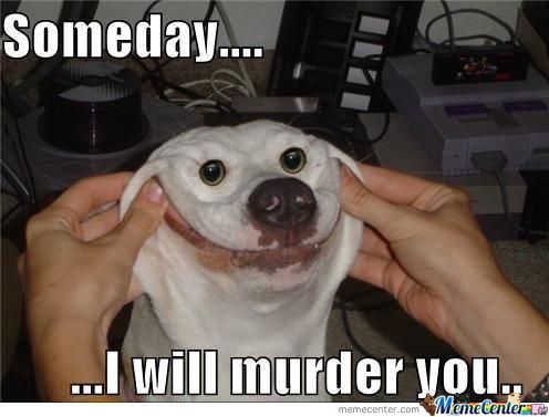25 best funny dog memes ideas on pinterest smiling dog meme 66b56e9e5fbe3147c1dfe56a9e252fa8 smiling dogs smiling animals 25 best funny dog memes ideas on pinterest smiling dog meme,Smiling Dog Meme