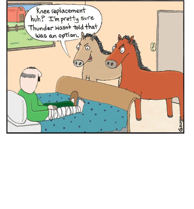 Surgery quotes, Knee surgery and Funny google searches on