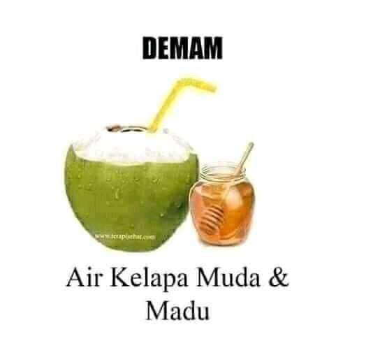 Air Kelapa Muda Untuk Bayi