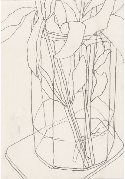 Simple Contour Line Drawing : The best flower line drawings ideas on pinterest