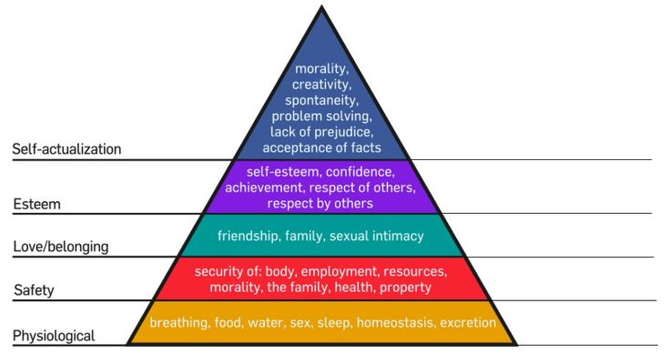 Maslow hierarchy of needs essay