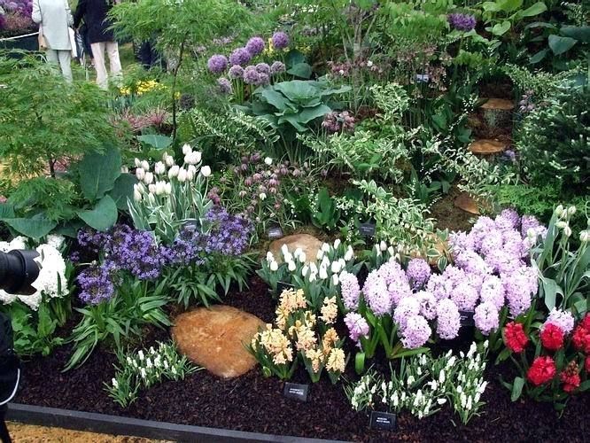 42 Inspiring Garden Ideas For Spring Summer - Summer Bulb Garden Design 42 Inspiring Garden Ideas For Spring Summer - Summer Bulb Garden Design