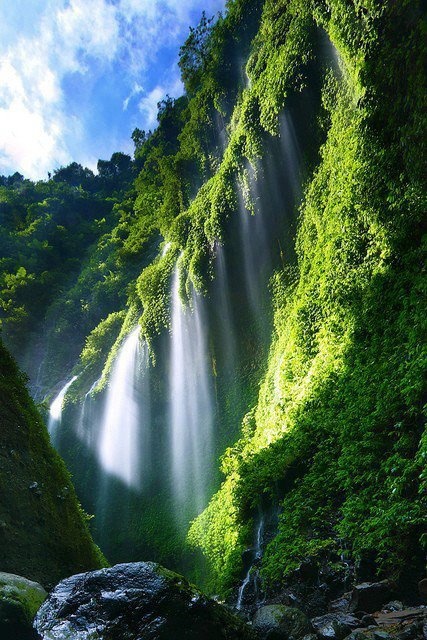 Madakaripura Waterfall (East Java, Indonesia) | Waterfall, Beautiful