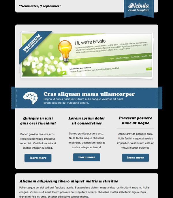 13 best Newsletter Formats images on Pinterest Email newsletters - Newsletter Format