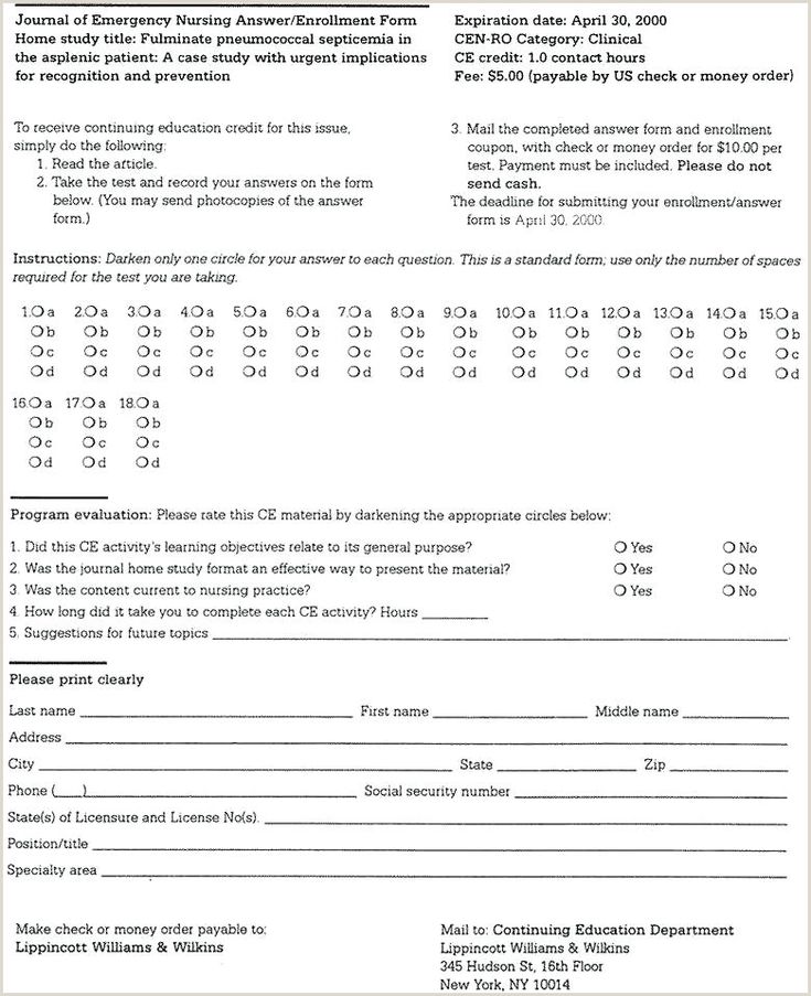 Division essay sample