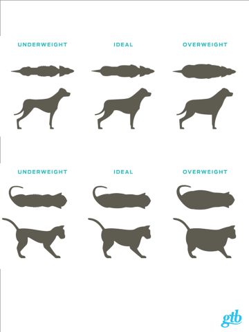 use our body composition chart to determine if your pet is purina cat weight chart
