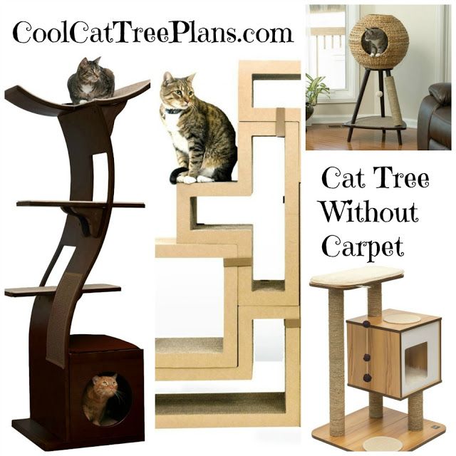 Best Cat Tree Without Carpet Ideas Coolcattreeplans Top Posts Best Cat Tree Without Carpet Ideas Coolcattreeplans Top Posts Cool Trees Plans Condo