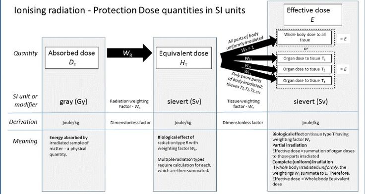 Quality assurance essay