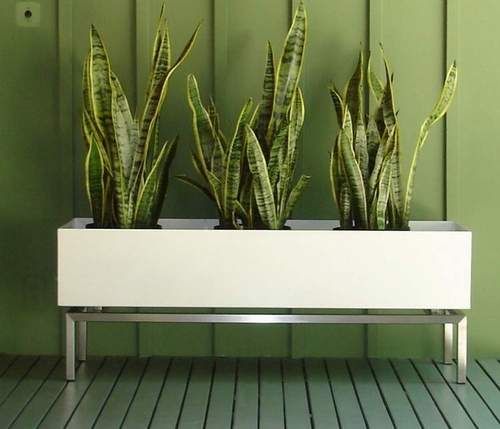 81 best Planters images on Pinterest | Gardening, Herb garden ... 81 best Planters images on Pinterest | Gardening, Herb garden ...