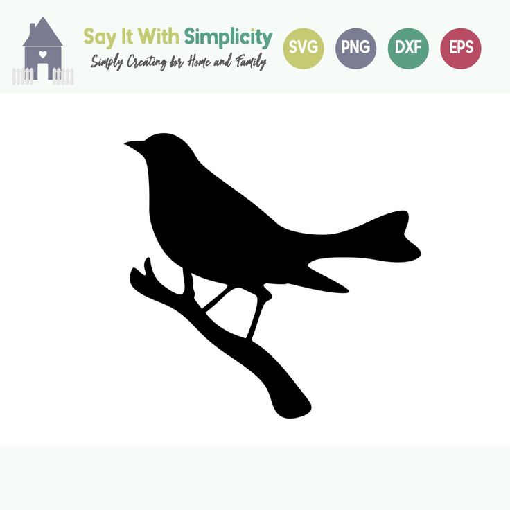 Download Bird on Branch SVG | Cricut free, Bird on branch, Svg