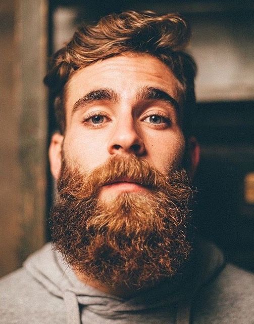 13 best Beards images on Pinterest | Beard styles, Moustaches and ...