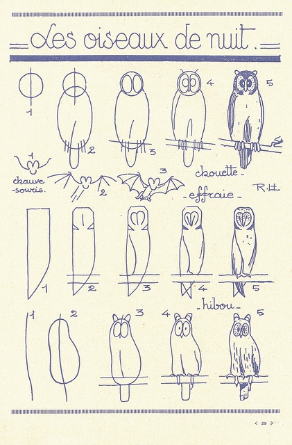 224 best bird drawing images on pinterest animal drawings art les oiseaux de nuit les animaux tels qu ils sont i love the middle one