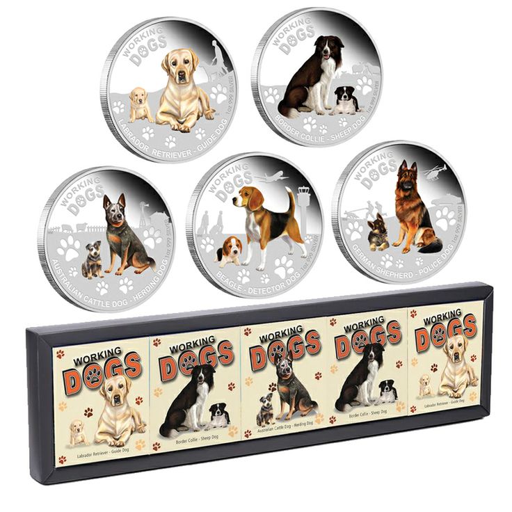Pin By Australian Gold And Silver Exc On AGSX Coins Working Dogs pin-by-australian-gold-and-silver-exc-on-agsx-coins-working-dogs