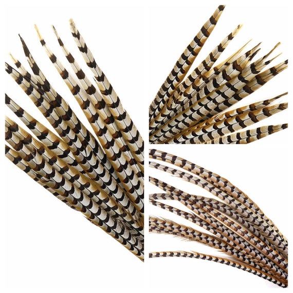 Halloween//Millinery//Hats Natural REEVES PHEASANT Feathers 10-65/" Many Types