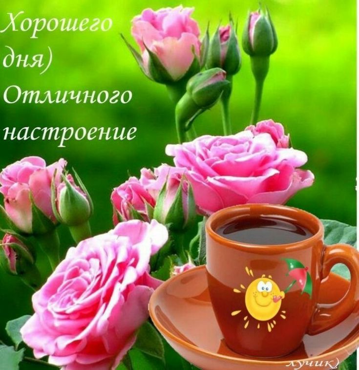 Рождение, флеш открытки доброго утра и хорошего дня