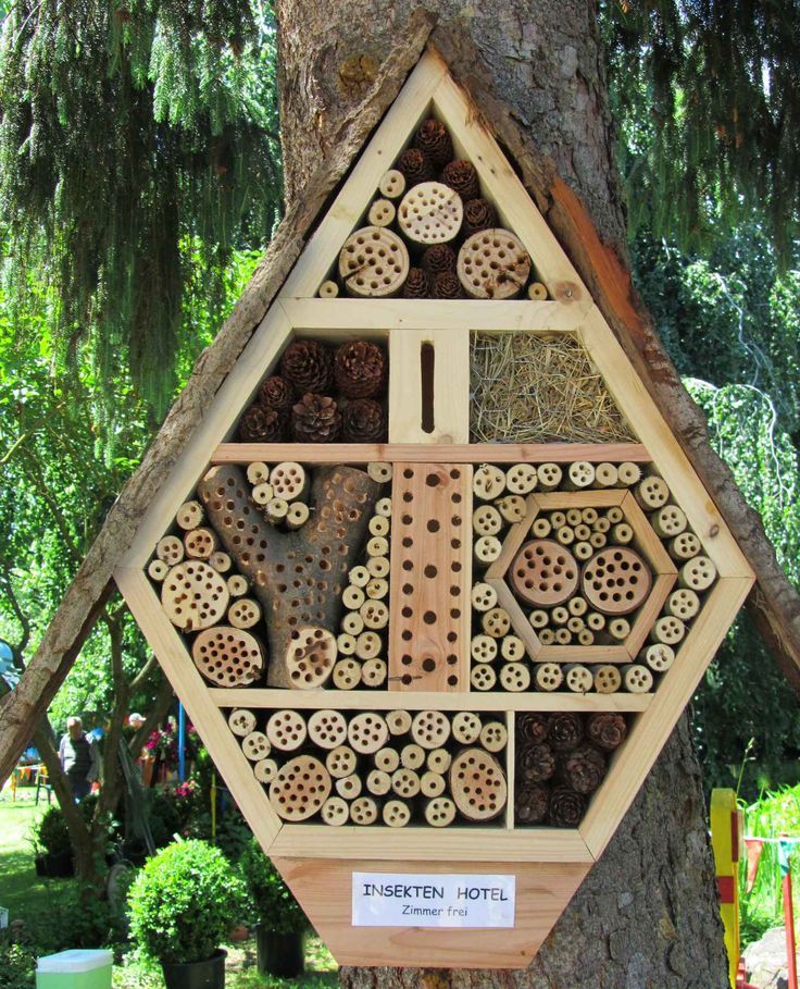 Best 25 Bug Hotel Ideas Only On Pinterest House Insects Insect Bug Hotel How To Build A Building Insect