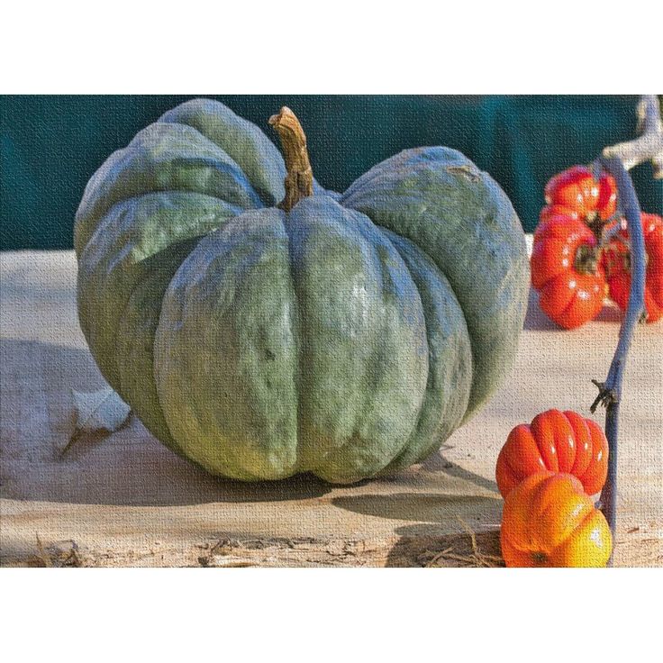 East Urban Home Gourd Cotton Green Area Rug Green Area Rugs Pumpkin Pictures East Urban Home