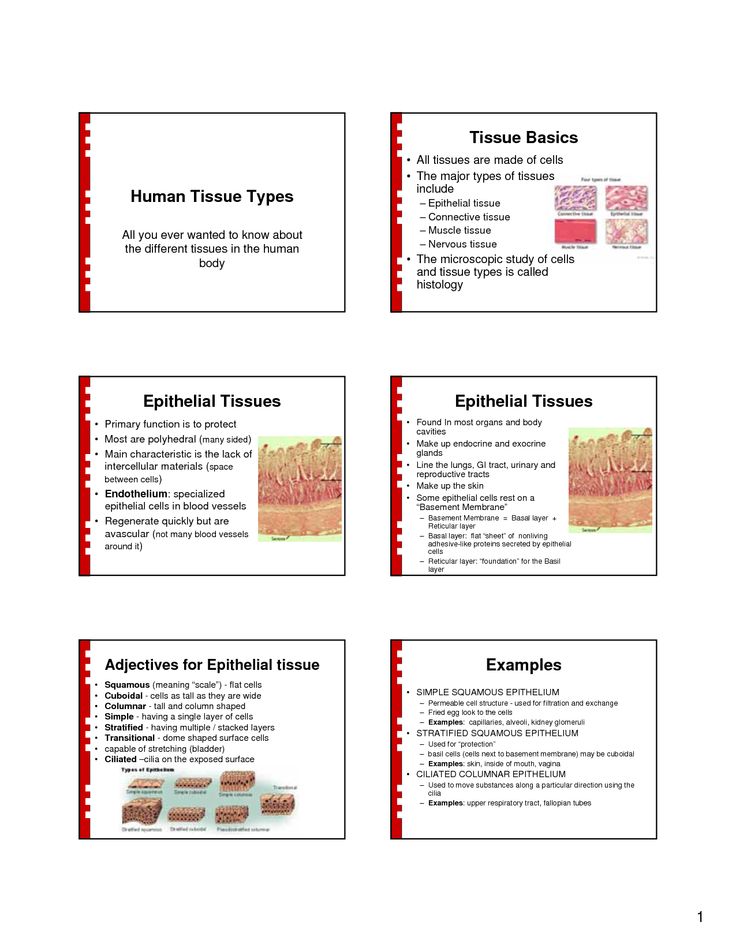 types of epithelial tissue