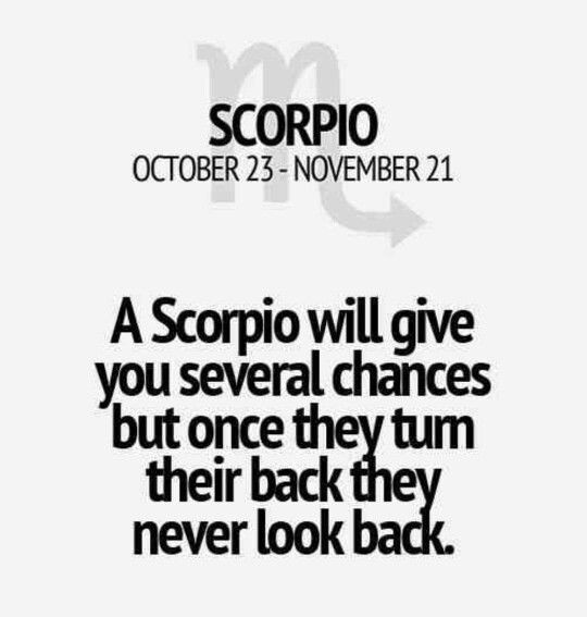 my sign scorpio zodiac sign pinterest scorpio my sign scorpio zodiac sign pinterest scorpio