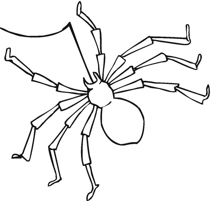 240 best clip and color part two images on pinterest | animal ... - Black Widow Spider Coloring Pages 240 best clip and color part two images on pinterest | animal ... - Black Widow Spider Coloring Pages