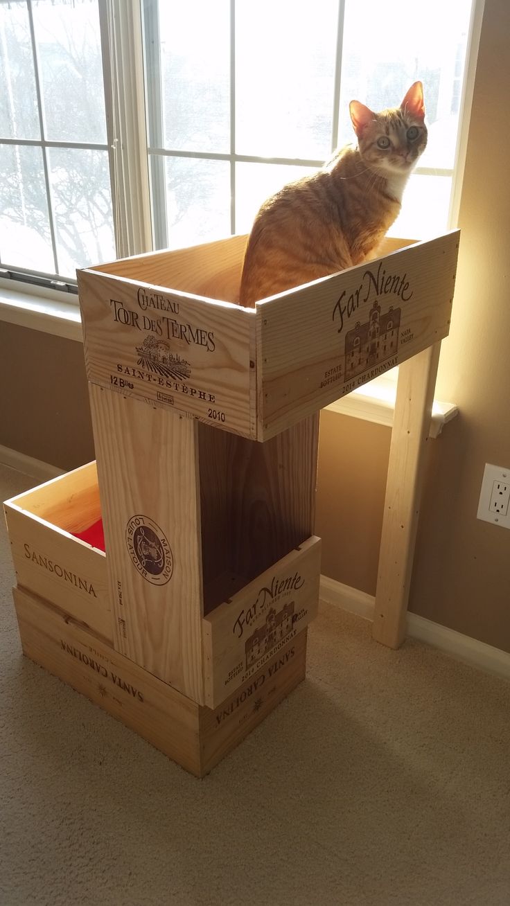 Dog Toys To Make With Plastic Crates Dog Toys To Make With Plastic Crates