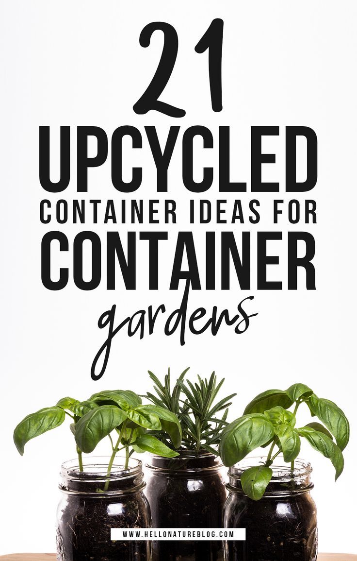 21 Upcycled Container Ideas for Container Gardens