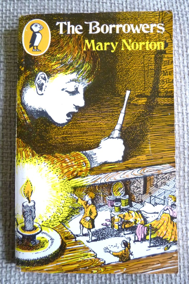 the borrowers novel the borrowers novel