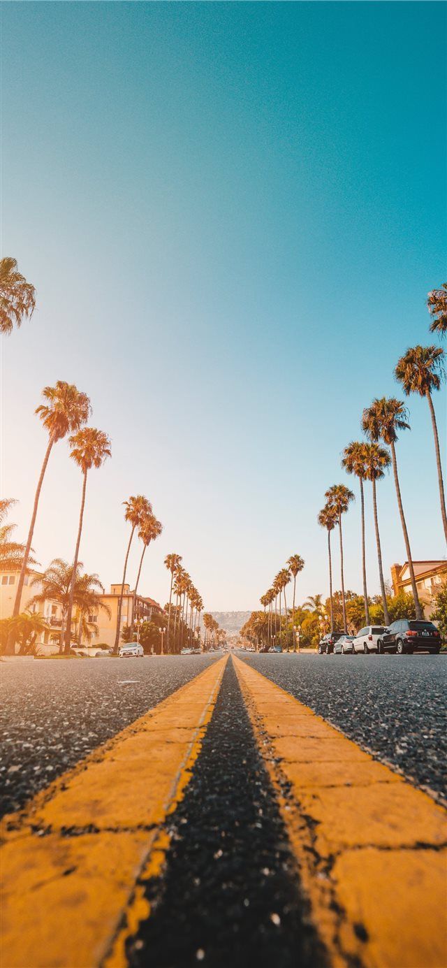 Wallpaper For Iphone Xr Home Screen Such Gadgets Mhw Unlike Floral