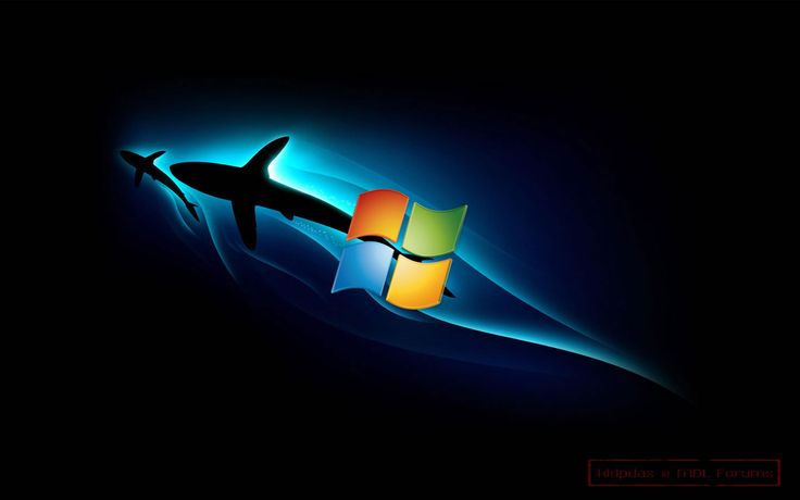 Windows Sharks Mejores fondos de escritorio Fondos de Windows Sharks Mejores fondos de escritorio Fondos de