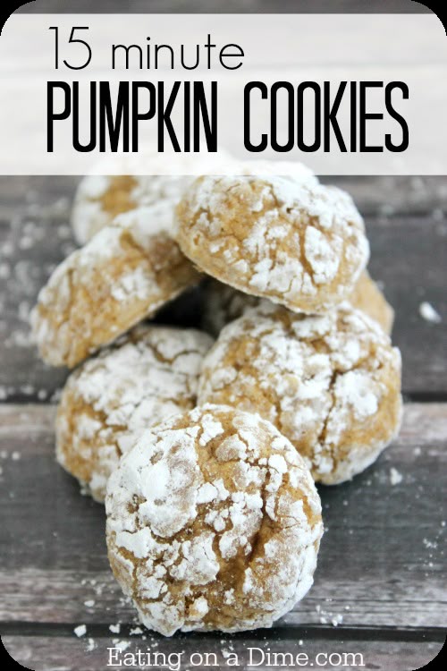 Pumpkin Cake Recipe Nz Pumpkin Cake Recipe Nz