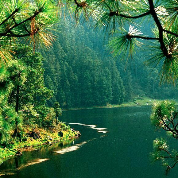 Paisajes de México 69a060dd5699bbac964f16eb6cdd5f53--nature-scenes-twitter